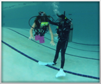  Discover Diving Scuba Class